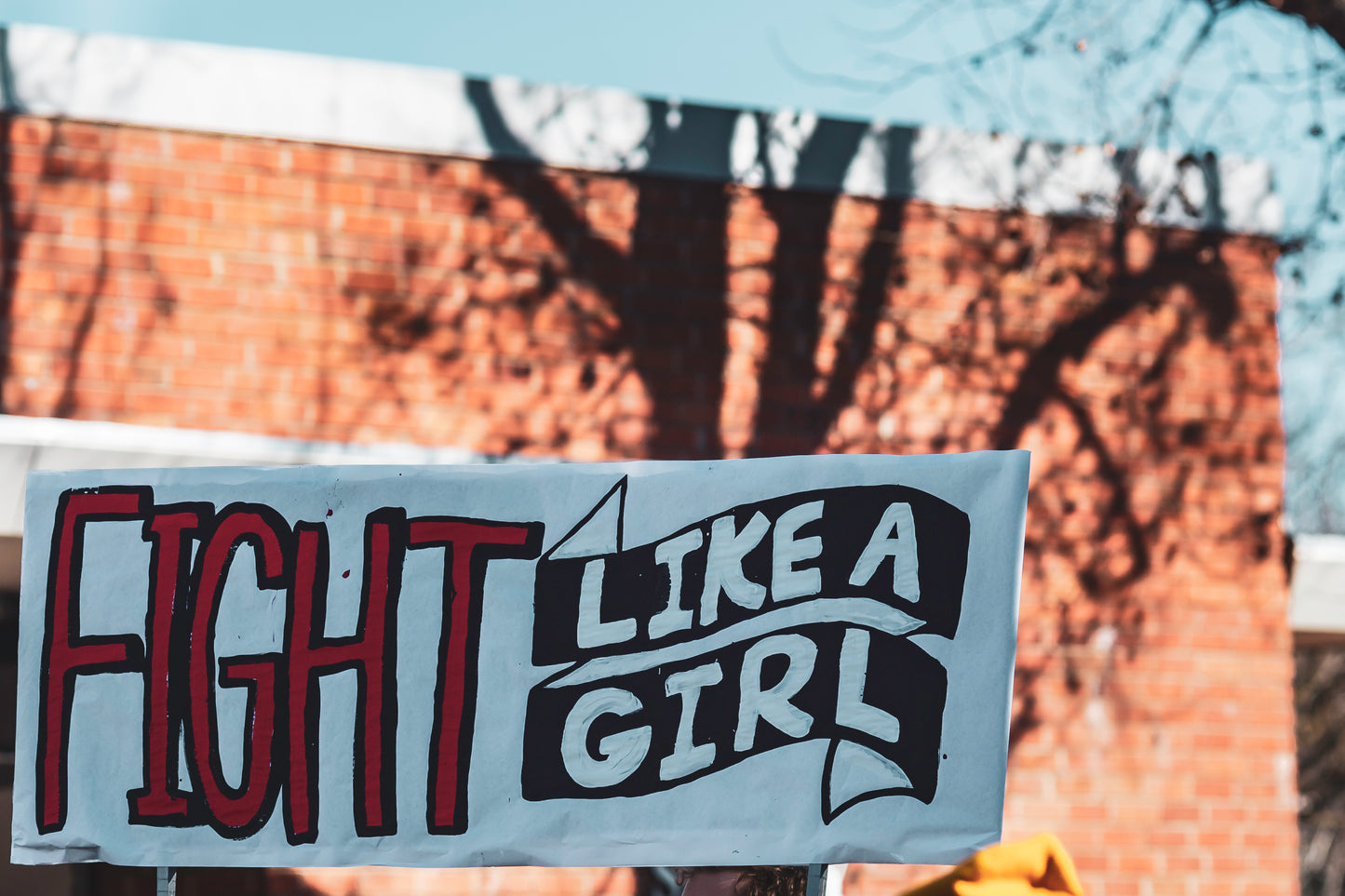 Fight Like A Girl