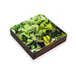 A Sea of Cactus Beer Coaster